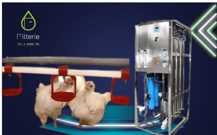 7 أسرار قوية لفلتر مياه مركزي لمزارع الدواجن يضاعف الإنتاج ويقلل النفوق